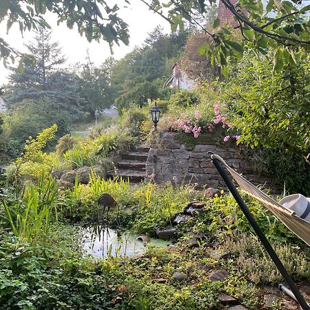 Ferienwohnung Kellerwald Waldeck  Eksteriør billede